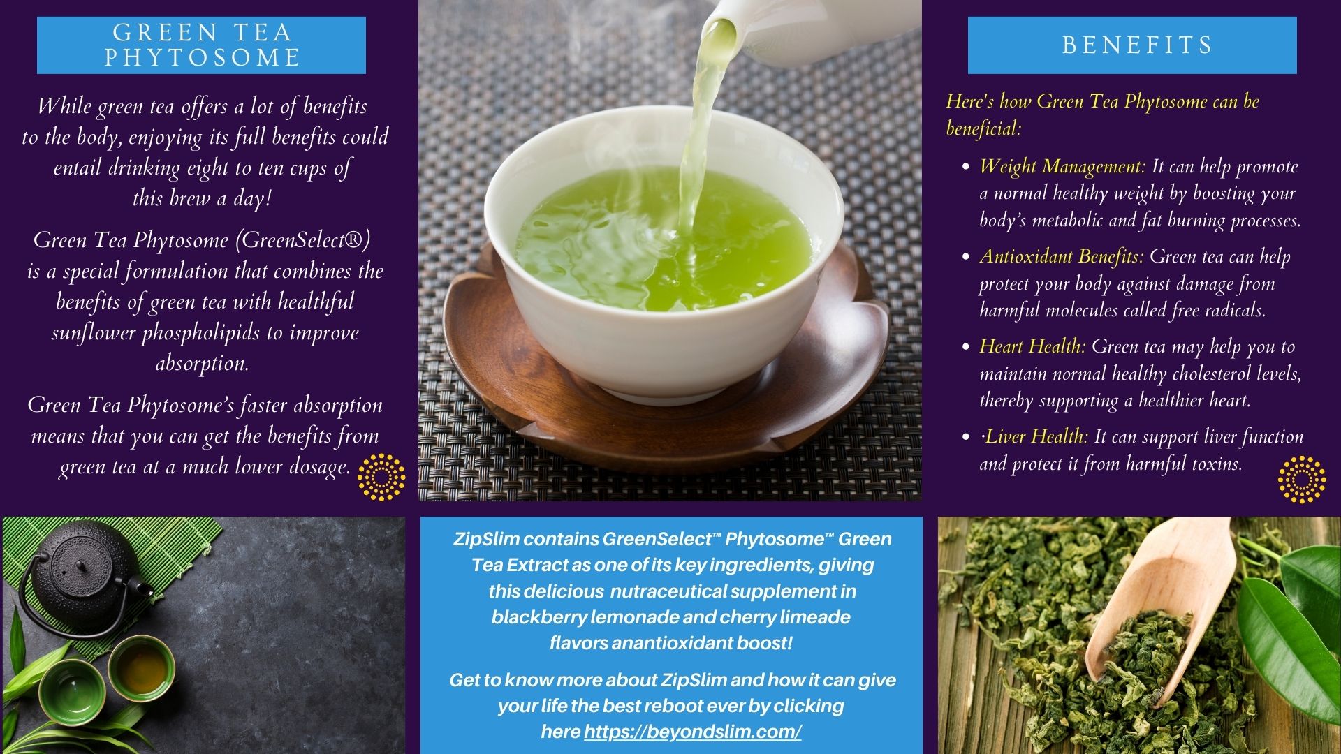 Ingredient Spotlight Green Tea Phytosome the Hardworking Antioxidant